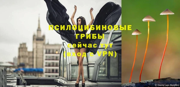 трава Богданович