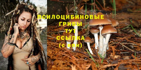 MESCALINE Богородск